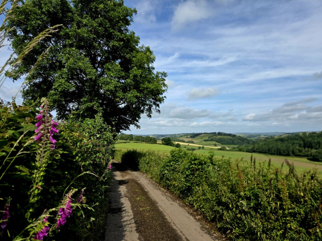 Anne Reutin
conseil à la plantation agroforesterie plantation de haies champêtres PGDH audit label haie