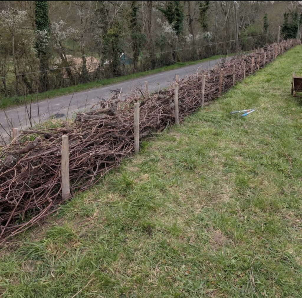 Anne Reutin
conseil à la plantation agroforesterie plantation de haies champêtres PGDH audit label haie