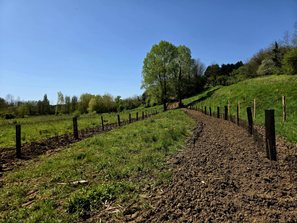 Anne Reutin
conseil à la plantation agroforesterie plantation de haies champêtres PGDH audit label haie